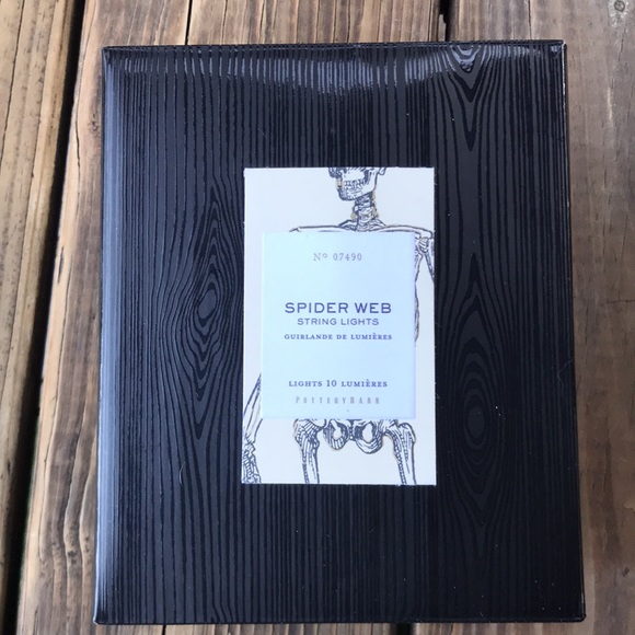 Pottery Barn Spooky and Illuminating Light Up Metal Spider Web String Lights🕸🕷 - Picture 4 of 16